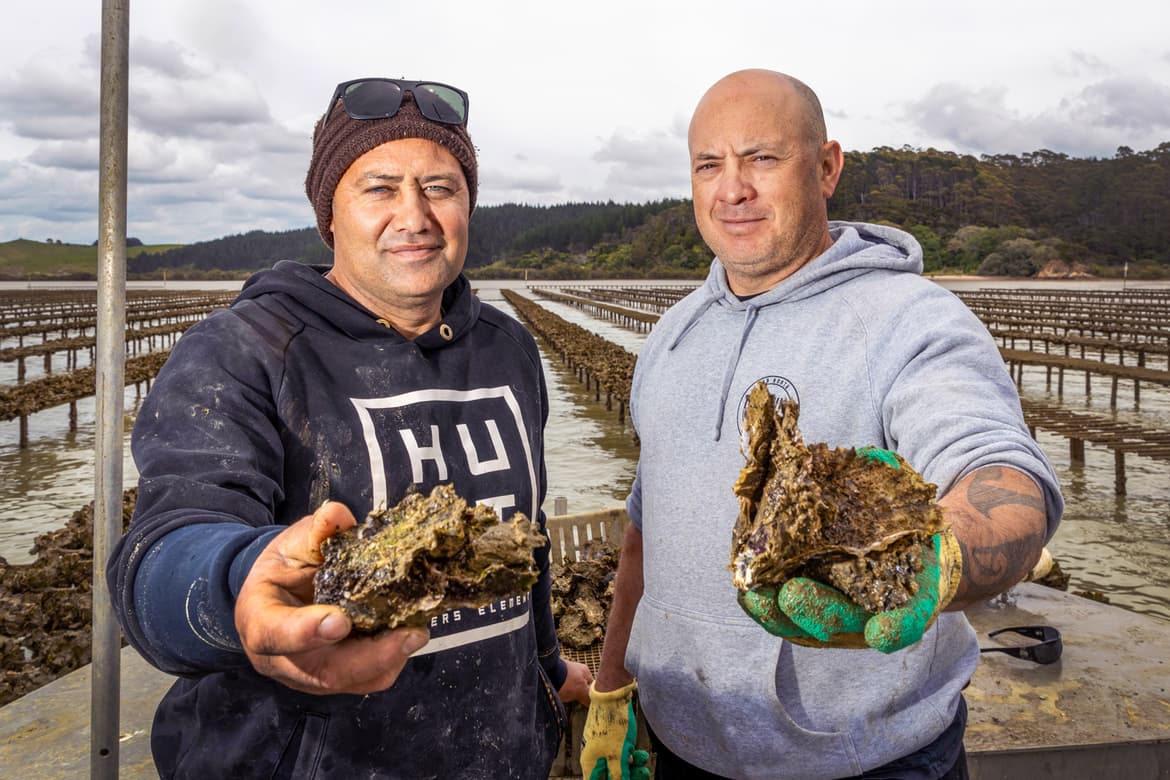 Taniwha Oysters co-owners